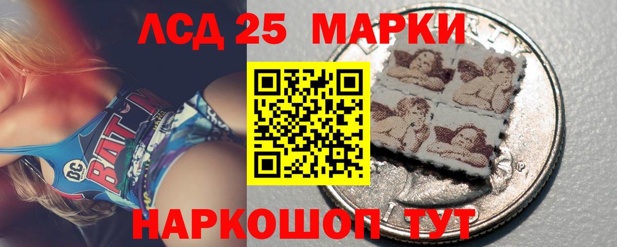 ЛСД экстази кислота  Вход с VPN  ЛСД экстази  LSD-25 экстази кислота  ссылка на мегу ссылка  Бердск 