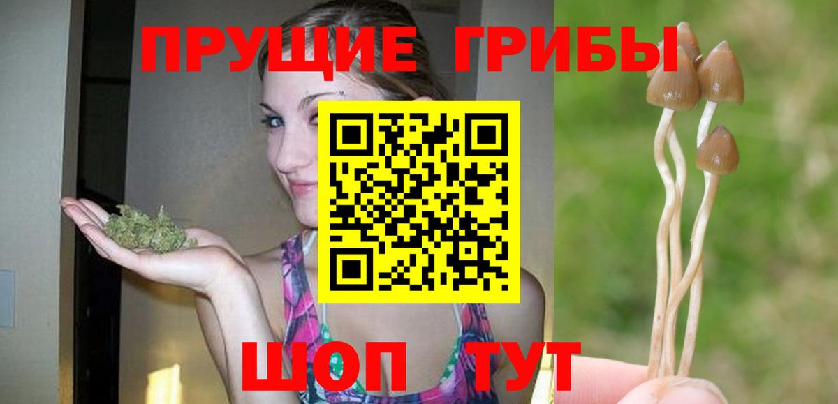 Псилоцибиновые грибы ЛСД  Вход с VPN  Бердск  Псилоцибиновые грибы прущие грибы 